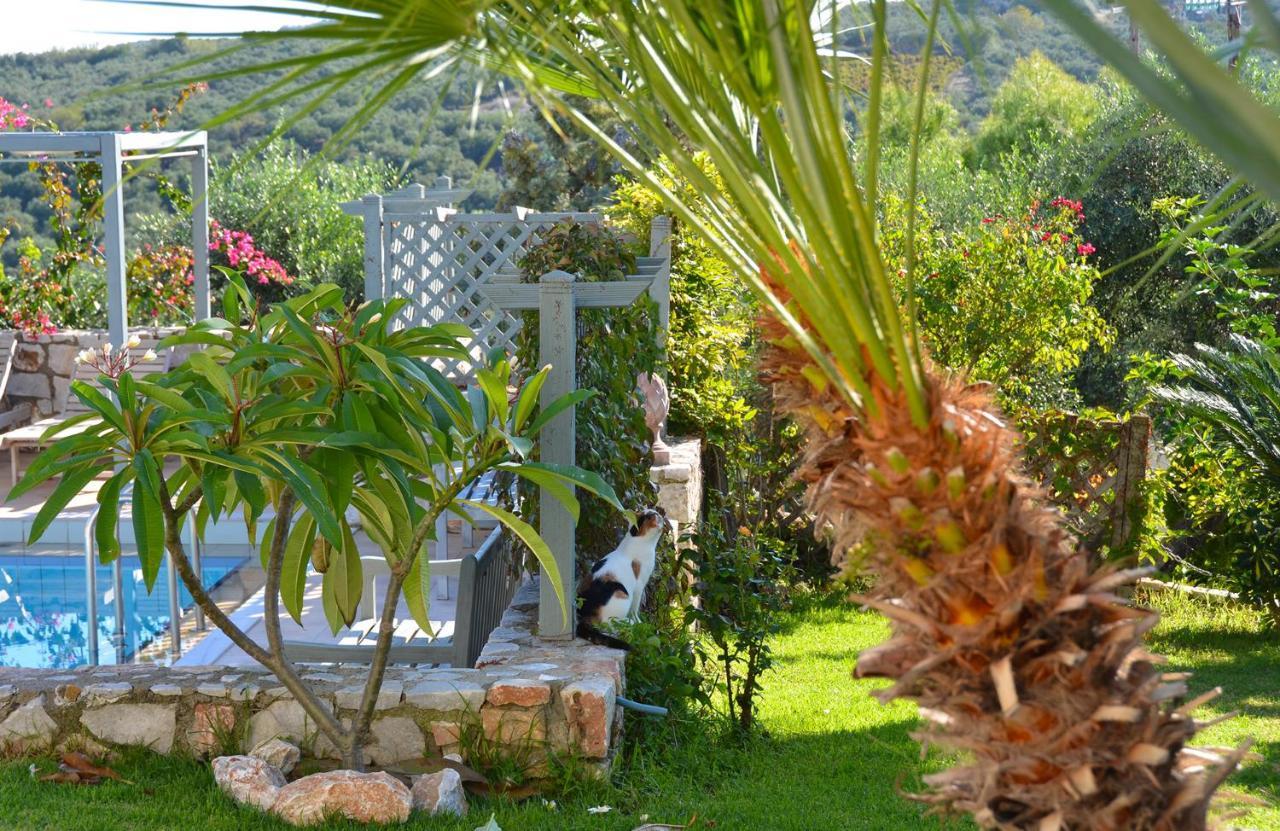 West Crete Chania - Villa Europa Darmarochori Zewnętrze zdjęcie